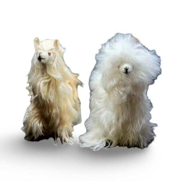 Alpaca flush